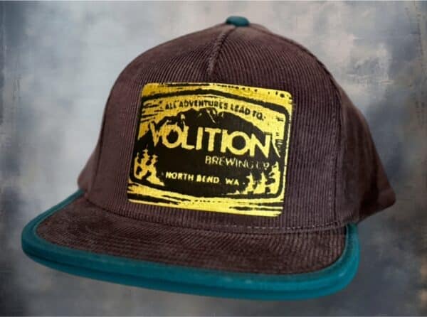 Recaps Corduroy Flat Bill - Image 3